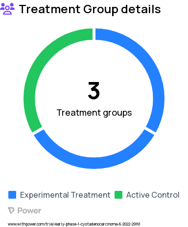 Ovarian Cancer Research Study Groups: Arm I (carboplatin, paclitaxel, CRS), Arm II (carboplatin, paclitaxel, CRS, HIPEC, cisplatin), Arm III (carboplatin, paclitaxel, CRS, cisplatin)