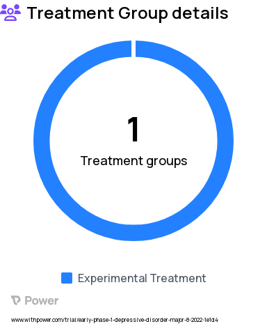 Depression Research Study Groups: Psilocybin + CBT