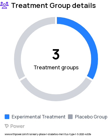 Type 1 Diabetes Research Study Groups: GLP-1, Placebo 1, Placebo 2