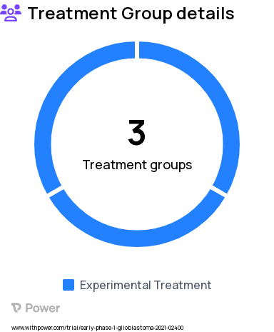 Glioblastoma Research Study Groups: Arm A Newly diagnosed glioblastoma treated with pamiparib- ARM CLOSED, Arm B Recurrent glioblastoma treated with pamiparib, Arm C Recurrent glioblastoma treated with olaparib - ARM CLOSED