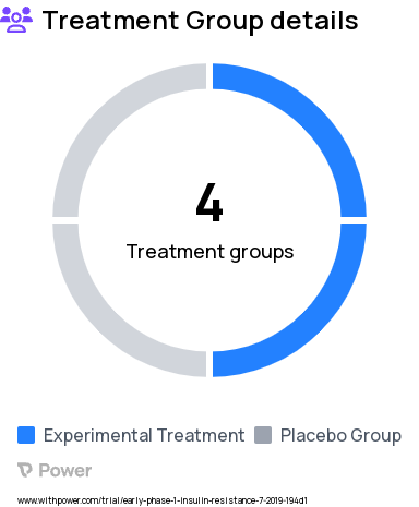 Insulin Resistance Research Study Groups: Placebo (Bed Rest), Metformin (2 week run-in only), Placebo (2 week run-in only), Metformin (Bed Rest)