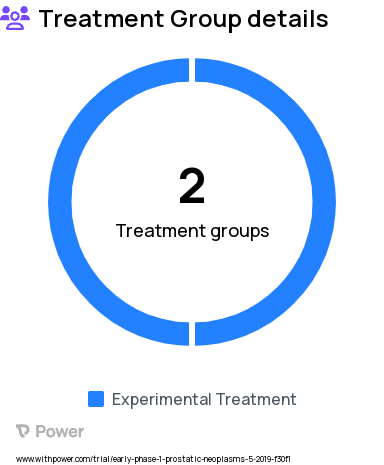 Prostate Cancer Research Study Groups: Group II (resistance training, creatine supplementation), Group I (resistance training)
