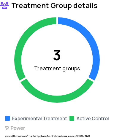 Spinal Cord Injury Research Study Groups: MyoPro-VR/HM group, MyoPro group, VR/HM group, control