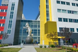 Photo of The Montreal Children's Hospital of the MUHC in MONTREAL