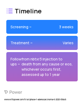 NBTXR3 (Virus Therapy) 2023 Treatment Timeline for Medical Study. Trial Name: NCT04484909 — Phase 1