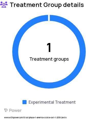 Sickle Cell Disease Research Study Groups: Haploidentical stem cell transplantation