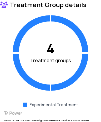 Squamous Intraepithelial Lesion Research Study Groups: PVX-6, pNGVL4aCRTE6E7L2 0.3mg dose, pNGVL4aCRTE6E7L2 1 mg dose, pNGVL4aCRTE6E7L2 3 mg dose