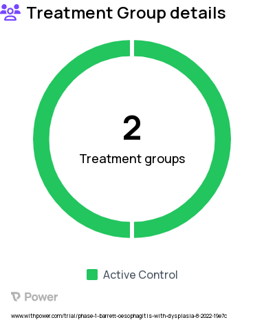 Barrett's Esophagitis Research Study Groups: Itraconazole in solution form, Itraconazole in capsule form