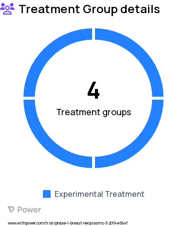 Breast Cancer Research Study Groups: Dose Level B2, Dose Level A1, Dose Level A2, Dose Level B1
