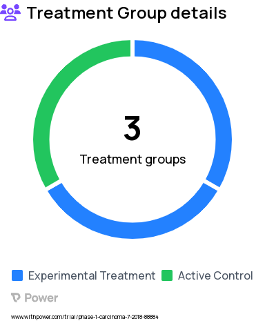Squamous Cell Carcinoma Research Study Groups: Control Group, 5FU Group, 5FU + Imiquimod 5% Group