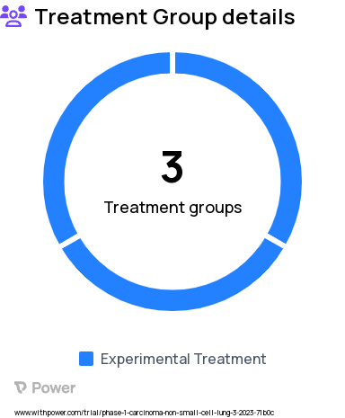 Non-Small Cell Lung Cancer Research Study Groups: Part I Single Participant Cohort RO7515629 Dose Escalation, Part III Multiple Participant Cohort RO7515629 Dose Expansion, Part II Multiple Participant Cohort RO7515629 Dose Escalation