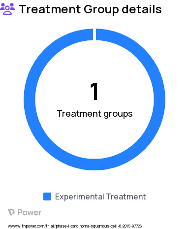 Squamous Cell Carcinoma Research Study Groups: Treatment (onalespib, cisplatin, IMRT)