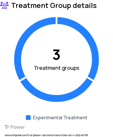 Bladder Cancer Research Study Groups: UGN-301 monotherapy dose escalation (Arm A), UGN-301 dose escalation + UGN-201 combination (Arm B), UGN-301 dose escalation + gemcitabine combination (Arm C)
