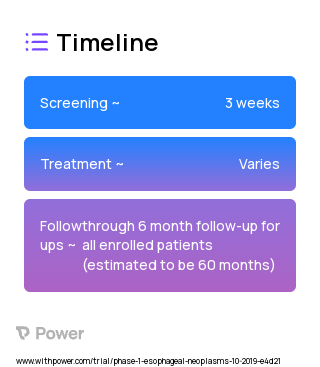 Carboplatin (Chemotherapy) 2023 Treatment Timeline for Medical Study. Trial Name: NCT04046575 — Phase 1
