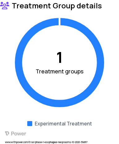 Esophageal Cancer Research Study Groups: Treatment (NBTXR3, IMRT, chemotherapy)