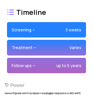 Erlotinib (Tyrosine Kinase Inhibitor) 2023 Treatment Timeline for Medical Study. Trial Name: NCT00566800 — Phase 1
