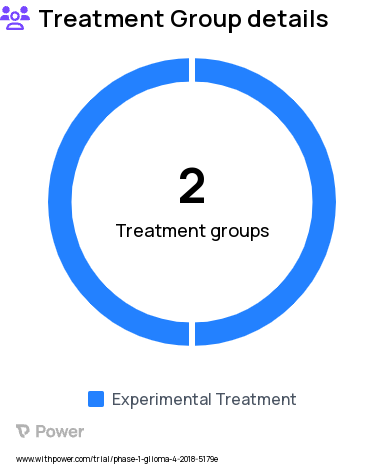 Brain Tumor Research Study Groups: Group B, Group A