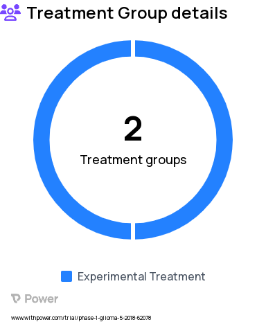 Brain Tumor Research Study Groups: ruxolitinib + radiation x 60 Gy + temozolomide 75 mg/m, ruxolitinib + radiation x 60 Gy for 6 weeks
