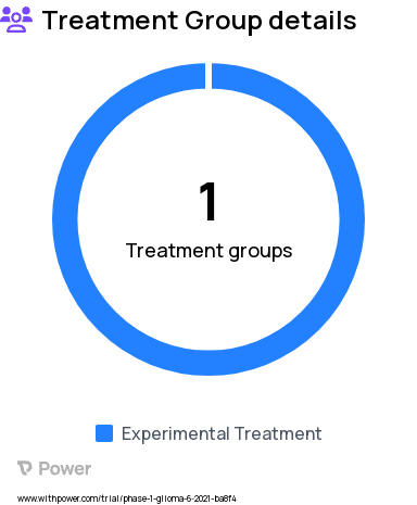 Malignant Glioma Research Study Groups: D2C7-IT + 2141-V11