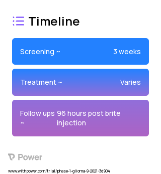 hEGFRvIII-CD3 (BRiTE) (CAR T-cell Therapy) 2023 Treatment Timeline for Medical Study. Trial Name: NCT04903795 — Phase 1