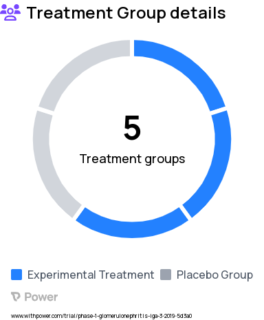 Immunoglobulin A Nephropathy Research Study Groups: Part 4 Retreatment: BION-1301, Part 1: BION-1301, Part 1: Placebo, Part 2: BION-1301, Part 2: Placebo, Part 3: BION-1301