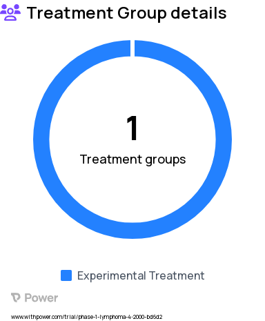 Lymphoma Research Study Groups: Treatment (high-dose chemotherapy, anti-HIV therapy)