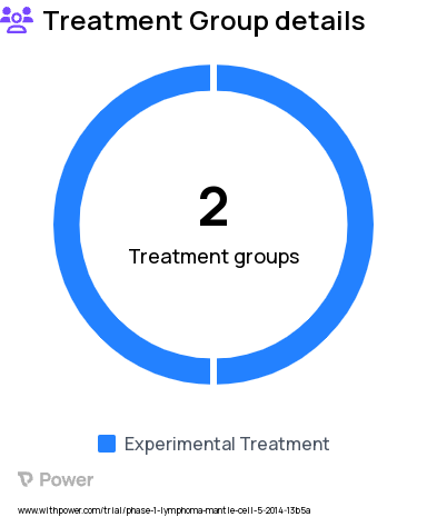 Mantle Cell Lymphoma Research Study Groups: Arm 1 (autologous TCM-enriched T cells), Arm 2 (autologous TN/MEM-enriched T cells)