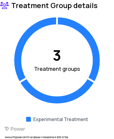 Brain Metastasis Research Study Groups: Arm C (pembrolizumab, SRS 18-21 Gy), Arm A (pembrolizumab, SRS 6 Gy, CLOSED):, Arm B (pembrolizumab, SRS 9 Gy)