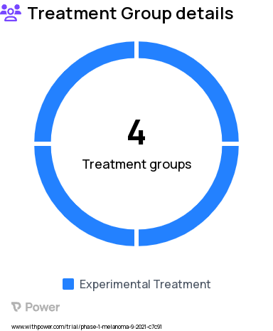 Melanoma Research Study Groups: Level 1, Level 2, Level 3, Level 4