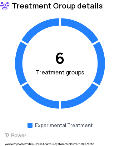 Brain Tumor Research Study Groups: Cohort 2A: Tc-99m tilmanocept frontal lobe injection site, Cohort 2B: Tc-99m tilmanocept parietal lobe injection site, Cohort 1: Tc-99m tilmanocept, Cohort 3: Tc-99m tilmanocept stereotactic needle biopsy of tumor, Cohort 2C: Tc-99m tilmanocept temporal lobe injection site, Cohort 2D: Tc-99m tilmanocept occipital lobe injection site