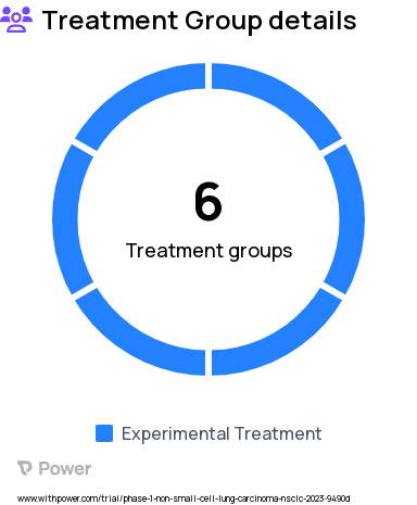Non-Small Cell Lung Cancer Research Study Groups: Part 1 Dose Escalation, Part 2 Cohort C, Part 2 Cohort D, Part 2 Cohort A, Part 2 Cohort E, Part 2 Cohort B
