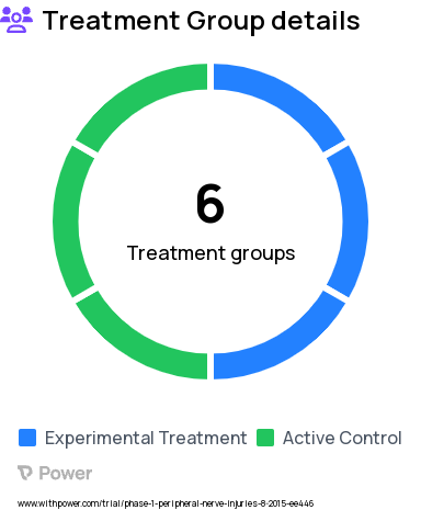 Peripheral Nerve Injury Research Study Groups: epineural repair >24 but <72 hours using PEG, epineural repair <24 hours using PEG, epineural repair with autografting within 48 hours, using PEG, standard epineural repair <24 hours, epineural repair with autografting within 48 hours, standard epineural repair >24 - 72 hours