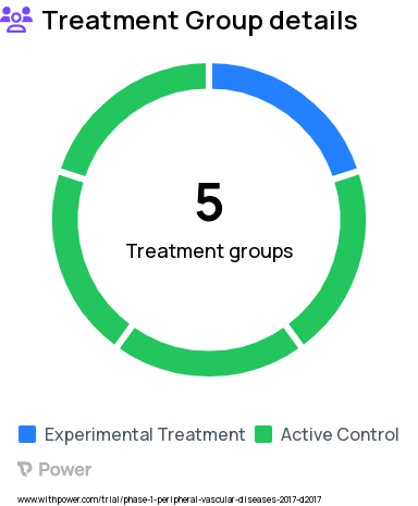 Amputation Research Study Groups: Control Group 4, Observation Group 2, Active/Treatment Group, Observation Group 3, Observation Group 1