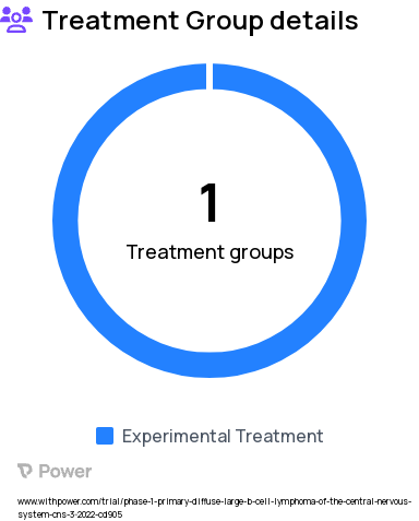Diffuse Large B-Cell Lymphoma Research Study Groups: 1: VIPOR