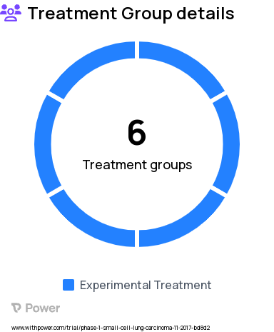 Small Cell Lung Cancer Research Study Groups: Part A, Part C, Part D, Part E, Part F, Part G