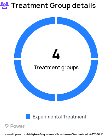 Oral Squamous Cell Carcinoma Research Study Groups: Other relapsed/refractory PD-L1 positive solid tumors, PD-L1 Positive SCCHN, PD-L1 Positive NSCLC, PD-L1 positive advanced cancer