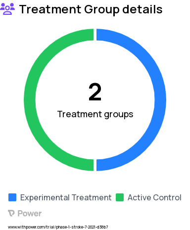 Hemorrhagic Stroke Research Study Groups: Control, Treatment Arm