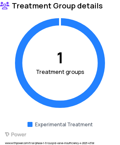 Tricuspid Regurgitation Research Study Groups: VDyne System Treatment Arm