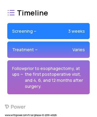 Esophagectomy (Procedure) 2023 Treatment Timeline for Medical Study. Trial Name: NCT03740542 — N/A