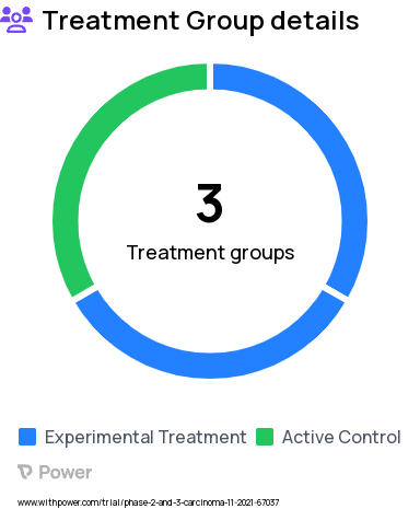 Neuroendocrine Carcinoma Research Study Groups: Arm I (atezolizumab, platinum drug, etoposide), Arm III (platinum drug, etoposide, observation), Arm II (atezolizumab, platinum drug, etoposide, observation)