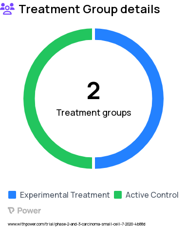 Small Cell Lung Cancer Research Study Groups: Arm II (atezolizumab, radiation therapy), Arm I (atezolizumab)