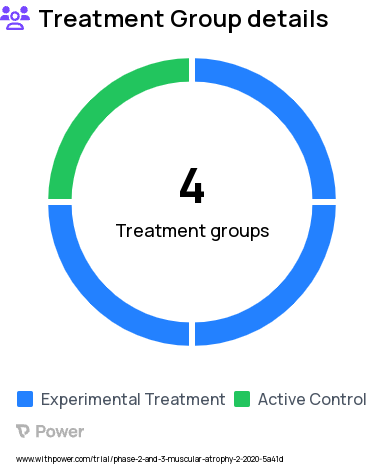 Spinal Muscular Atrophy Research Study Groups: 50/28 mg Randomized Treatment Group, 28/28 Milligram (mg) Safety Group, 12/12 mg Randomized Control Group, 12/50/28 mg Titration Group