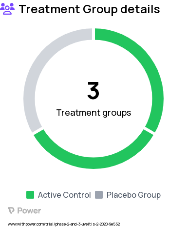 Cytomegalovirus Uveitis Research Study Groups: Oral Valganciclovir, Placebo, Topical Ganciclovir 2%