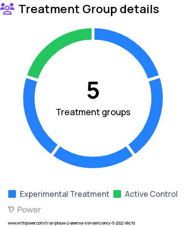 Iron-Deficiency Anemia Research Study Groups: Group 5, Group 1. Oral iron, Group 2, Group 3, Group 4