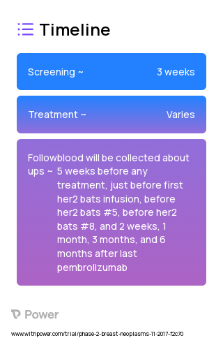 HER2 BATs (CAR T-cell Therapy) 2023 Treatment Timeline for Medical Study. Trial Name: NCT03272334 — Phase 1 & 2