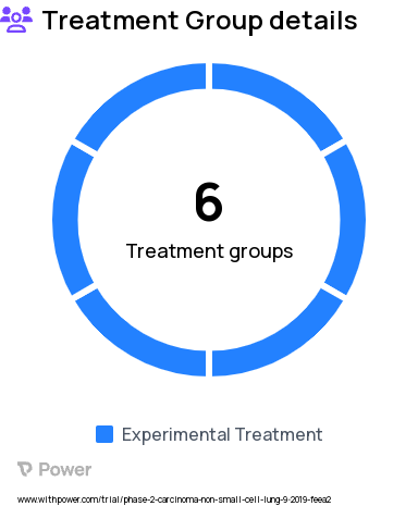 Non-Small Cell Lung Cancer Research Study Groups: Module B, Module C