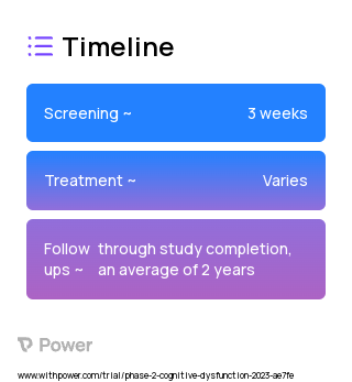 Executive Functioning Training 2023 Treatment Timeline for Medical Study. Trial Name: NCT05598047 — Phase 2
