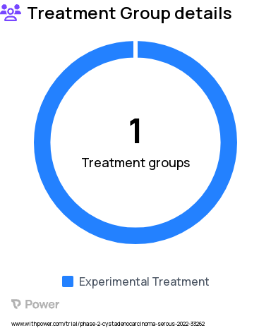 Pancreatic Cancer Research Study Groups: Active Treatment: ZB131