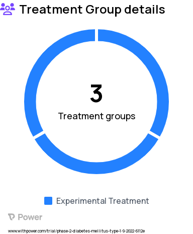 Type 1 Diabetes Research Study Groups: Acetazolamide - 125mg Dose, Acetazolamide - 62.5mg Dose, Acetazolamide - 250mg Dose