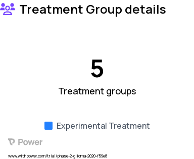 Low Grade Glioma Research Study Groups: Surgical Arm, Phase 2: Arm A Alkylator-resistant, Phase 2: Arm B NOT Alkylator-resistant, Phase 1: Dose Finding, GBM Arm
